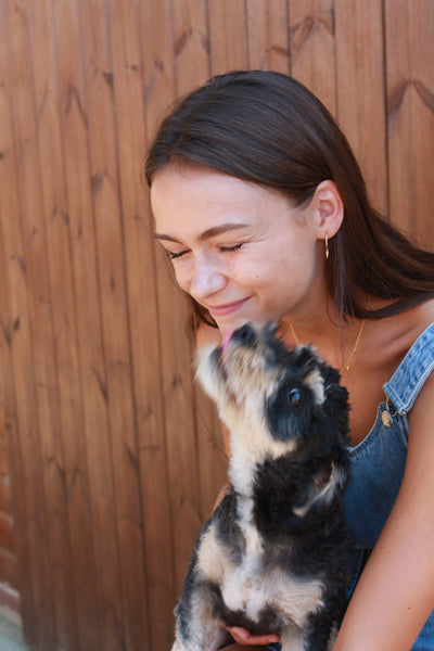 Paw Prints on the Heart – The Evolutionary Love Between Dogs and Humans