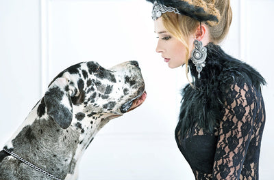 3 Pet Jewelry Tips You Can Use to Match Outfits With Your Dalmatian