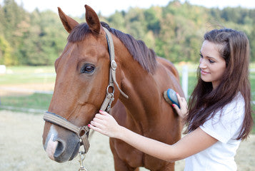 Gifts for Equestrians: Our Top 5 Picks!