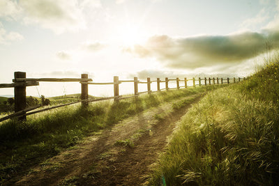 Jewellery for Countryside Lovers: 5 Ideas for Their Next Gift