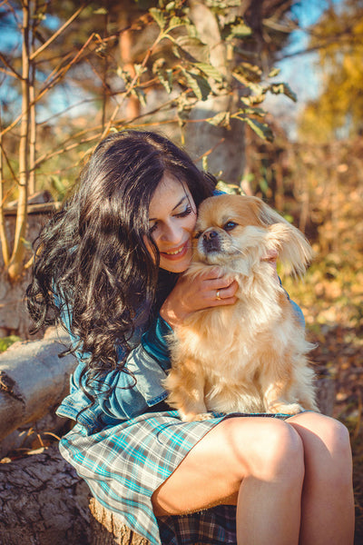 The Top 5 Luxury Jewellery Gifts For Dog Lovers