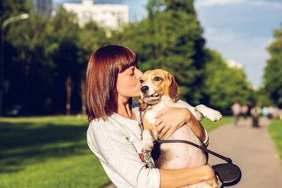 Pet Lover’s Holiday Gift Guide