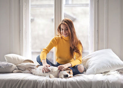Animal Lovers Only: Birthday Jewelry for the Animal Lover In Your Life
