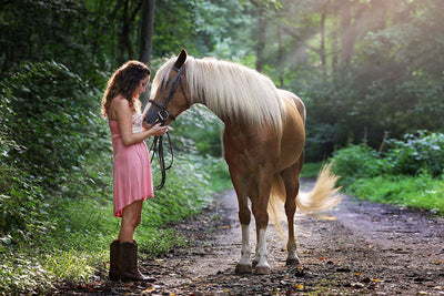 7 Tips for Horse Gifts for Your Horse Girl