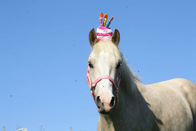 5 Tips for Throwing a Horse Themed Birthday Party from Gifts to Decor