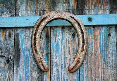 Wearing the Horseshoe Symbol: The History Behind This Iconic Jewellery Design