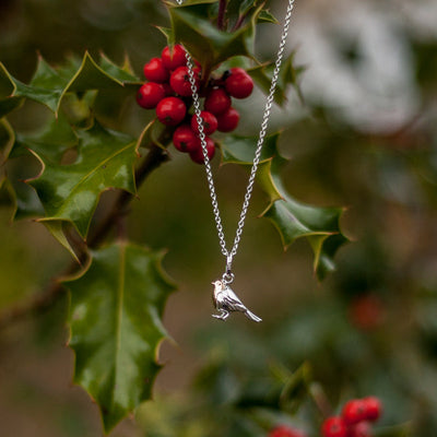 Robin Jewellery – For the love of Robins