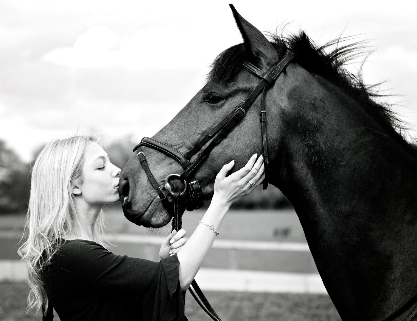 Gallop Collection