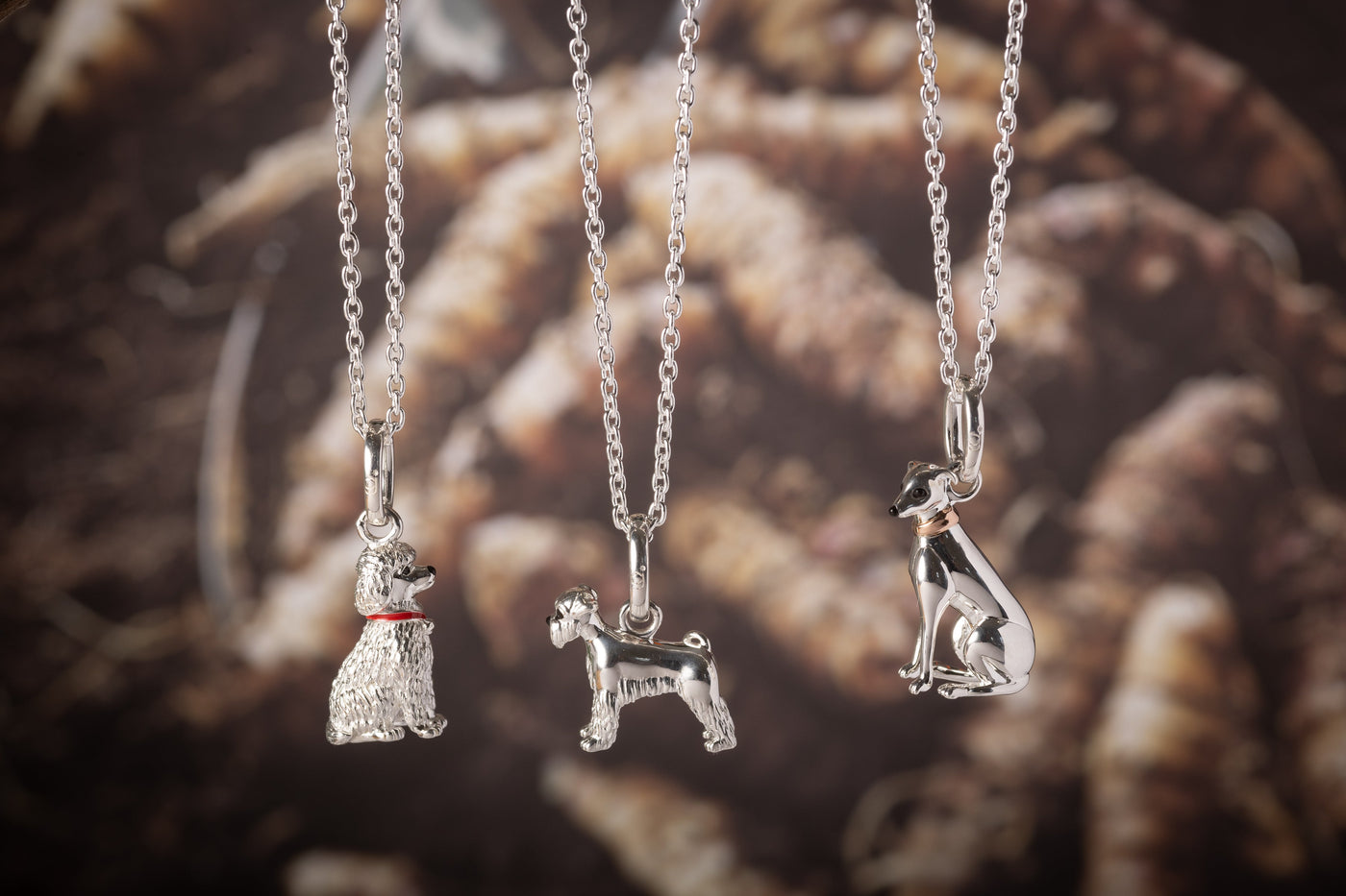 Woof Collection