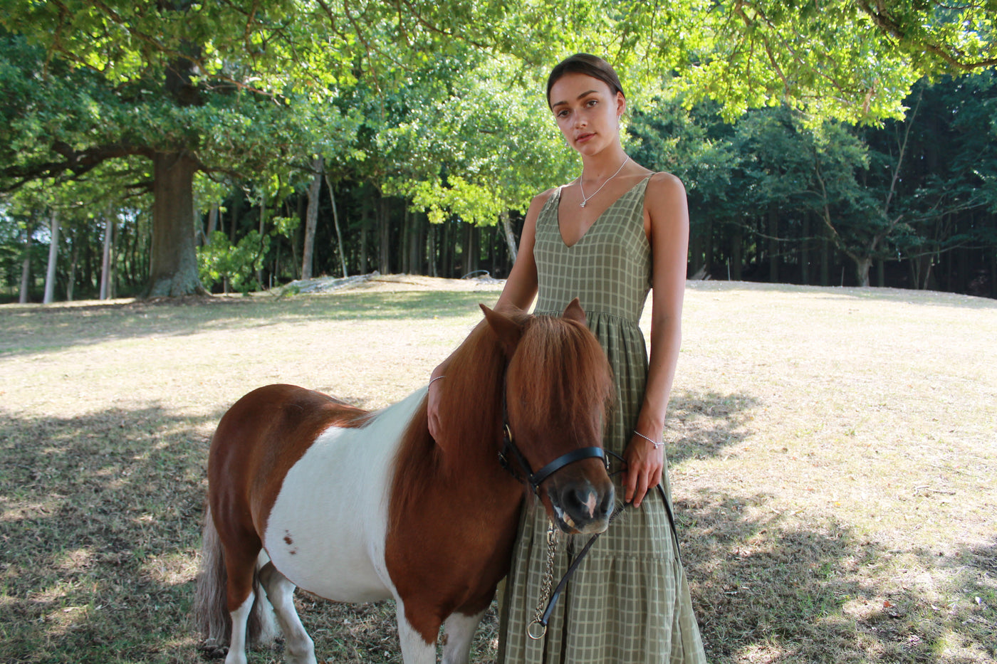 In The Country