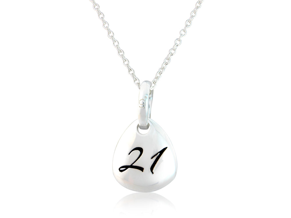 21 Pebble Pendant image 0
