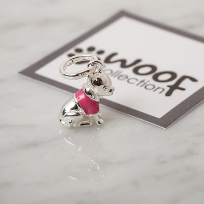 Chihuahua Charm