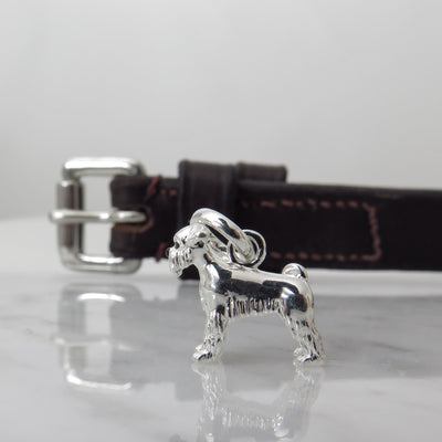 Schnauzer Charm