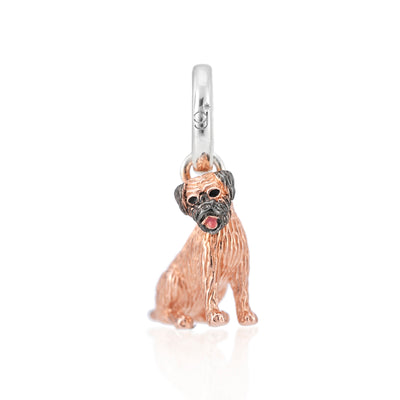 Border Terrier Charm