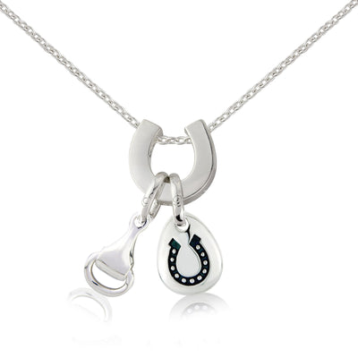 Lucky Horseshoe Pebble image 1