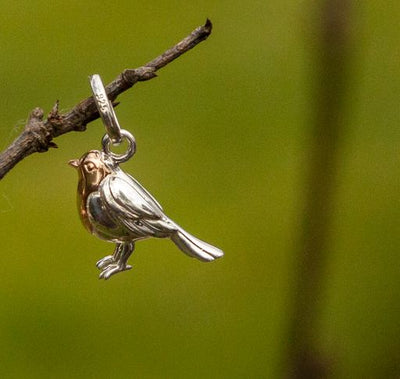 Robin Charm image 3