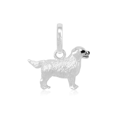 Retriever Charm