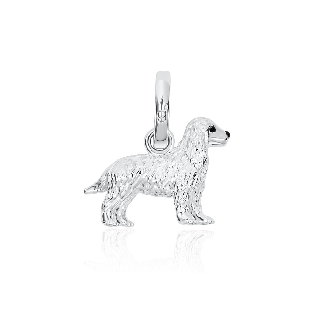 Cocker Spaniel Charm