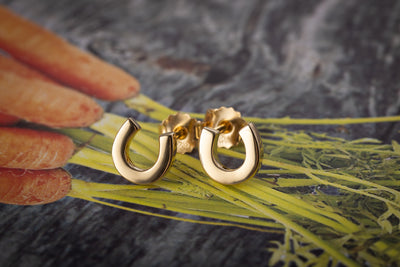 Gold Horseshoe Stud Earrings