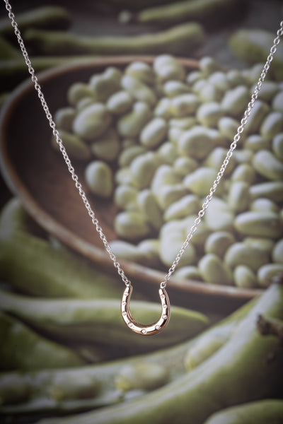 Rose Gold Horseshoe Necklace