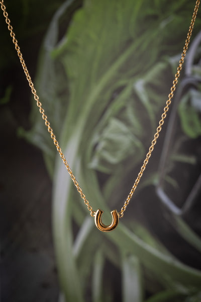 Gold Mini Horseshoe Necklace