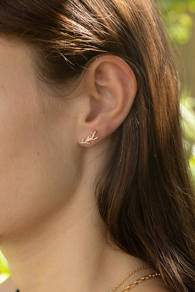 Stag Antler Studs