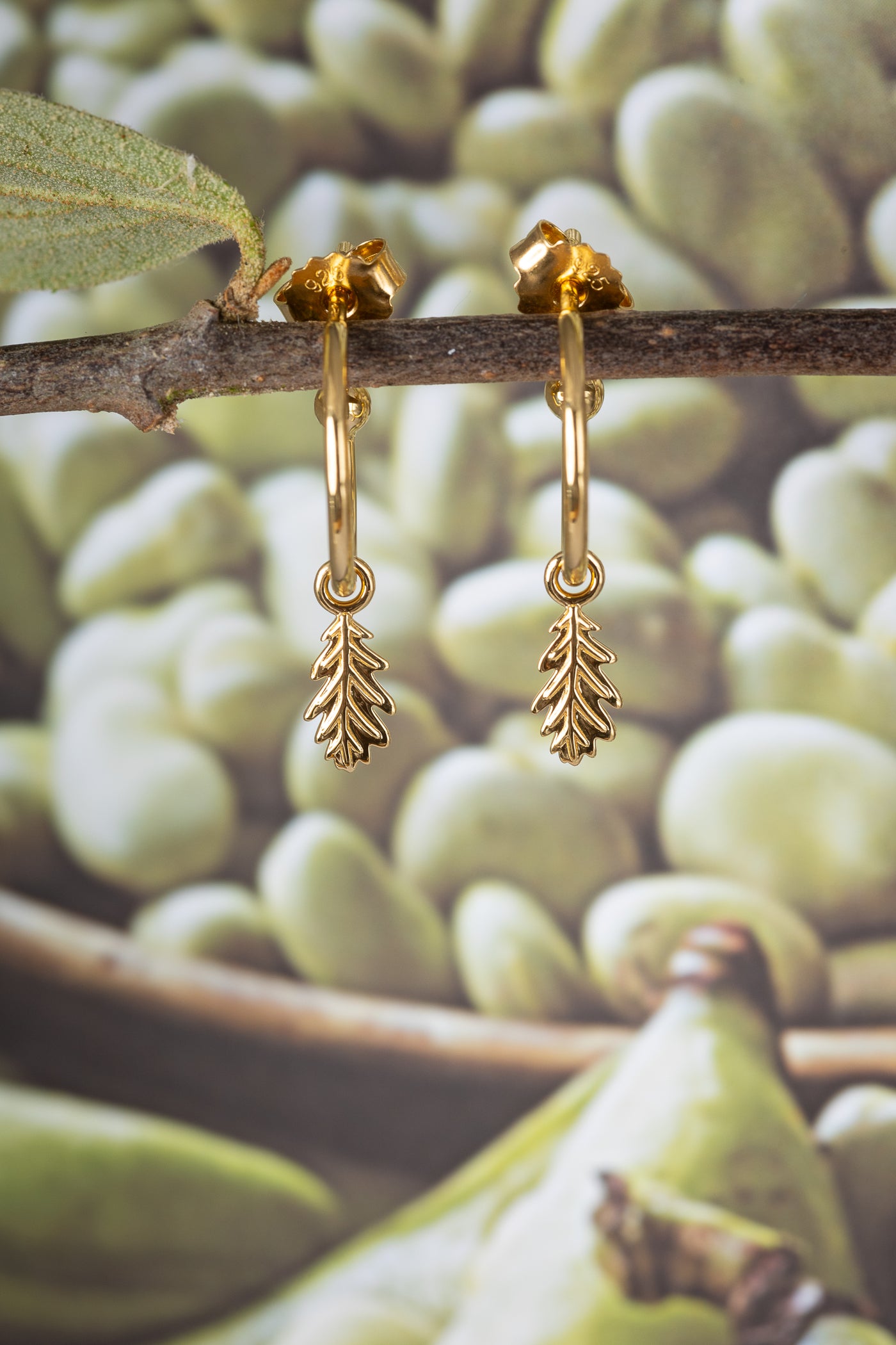 Acorn Leaf Hoop Earrings