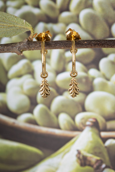 Acorn Leaf Hoop Earrings