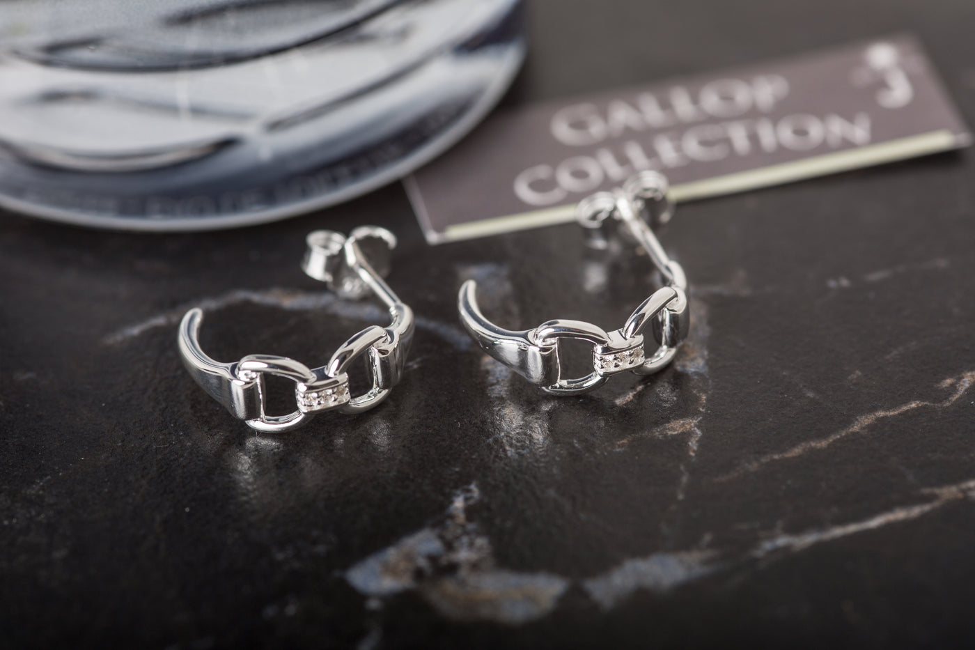 Silver Snaffle Bit Earrings