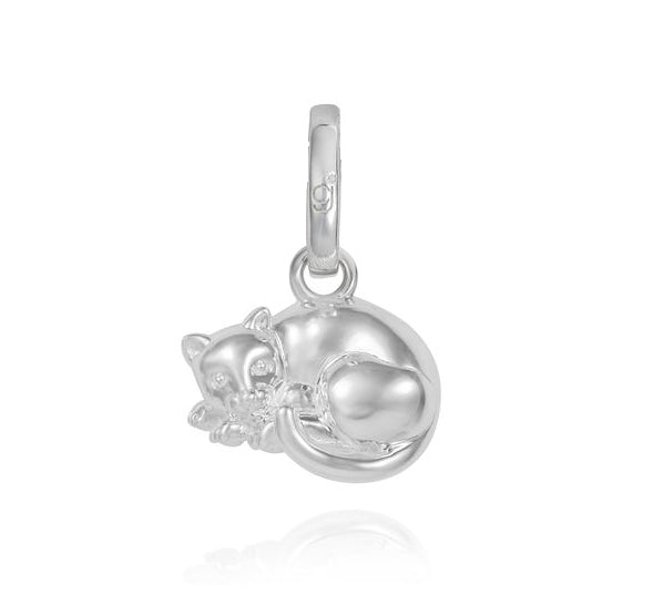 Cat Charm