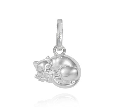 Cat Charm
