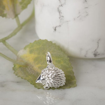 Hedgehog Charm