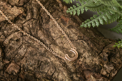 Rose Gold Mini Horseshoe Necklace