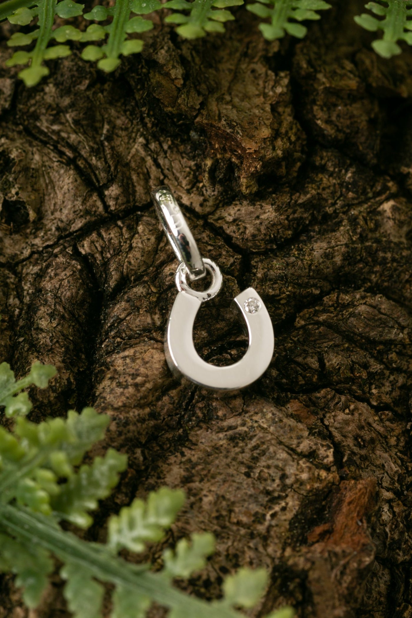 Diamond Horseshoe Charm