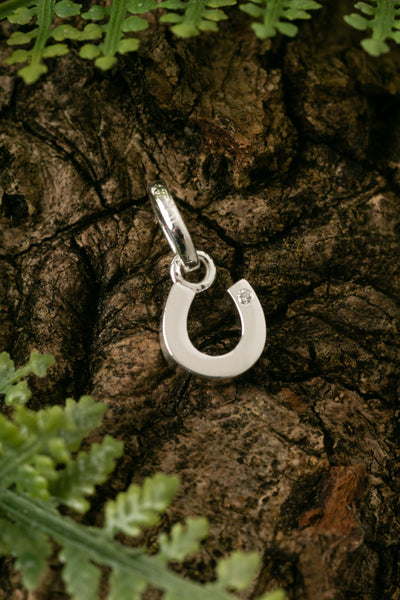 Diamond Horseshoe Charm