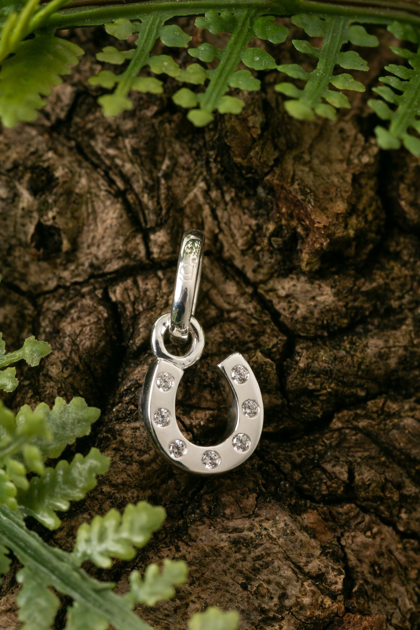 Silver Sparkly Horseshoe Charm