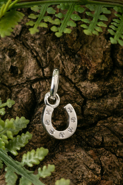 Silver Sparkly Horseshoe Charm