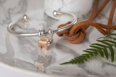Yorkshire Terrier Charm