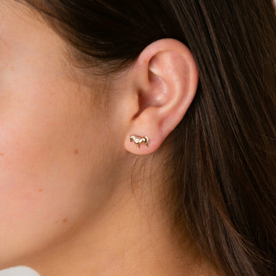 Shetland Pony Stud Earrings