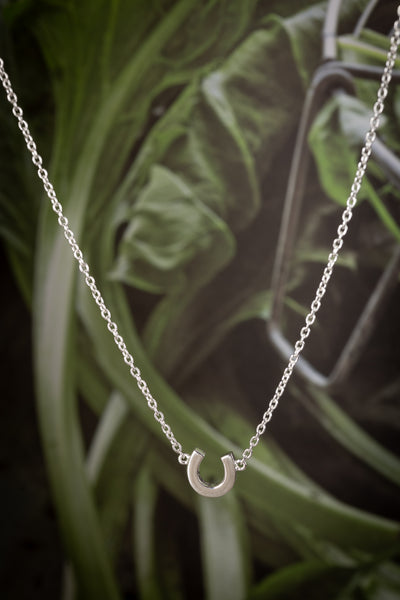 Mini Horseshoe Necklace