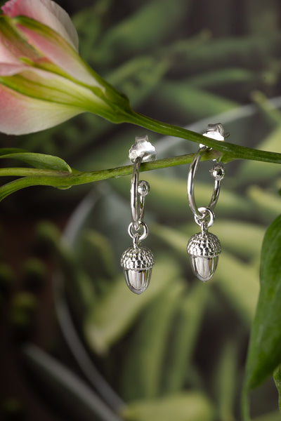 Silver Acorn Hoops