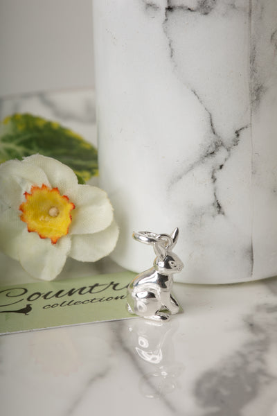 Rabbit Charm
