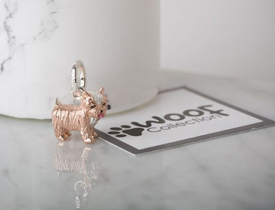 Yorkshire Terrier Charm