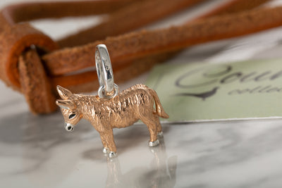 Donkey Charm