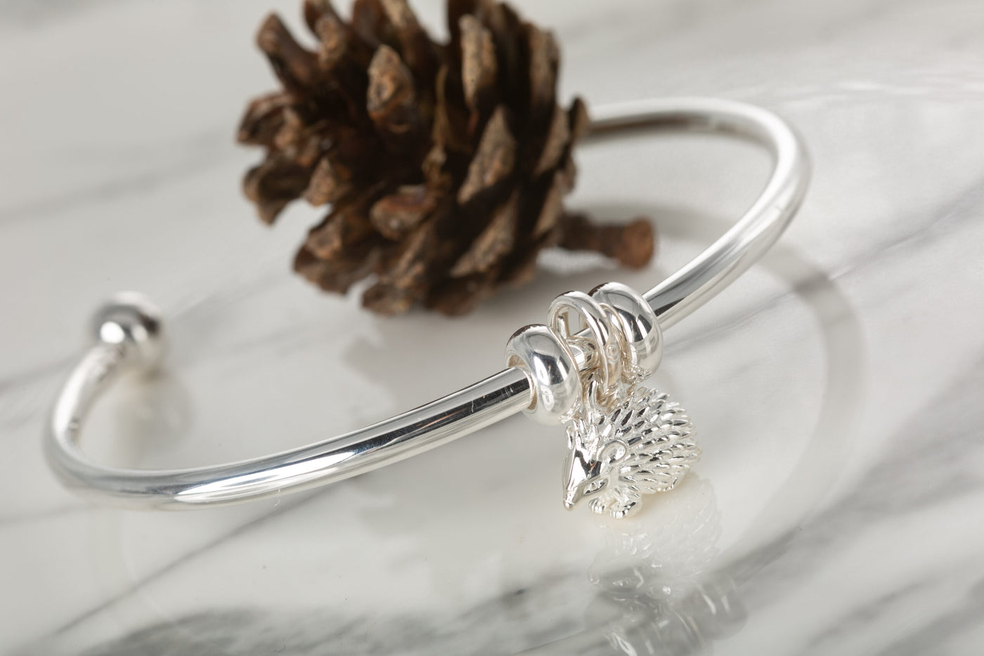 Hedgehog Charm