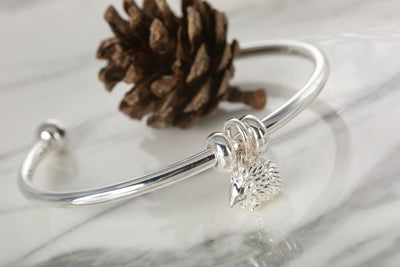 Hedgehog Charm