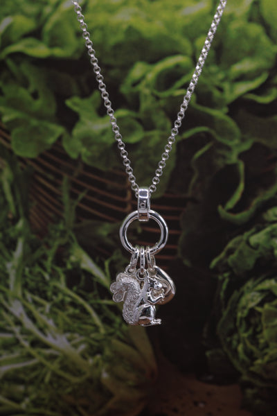 Squirrel Charm