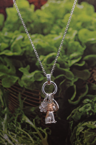 Charm Carrier Pendant