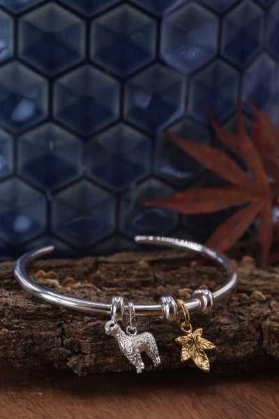 Silver Charm Bangle