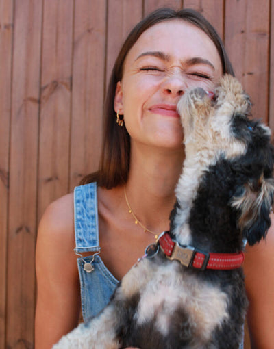Paws On My Heart Earrings